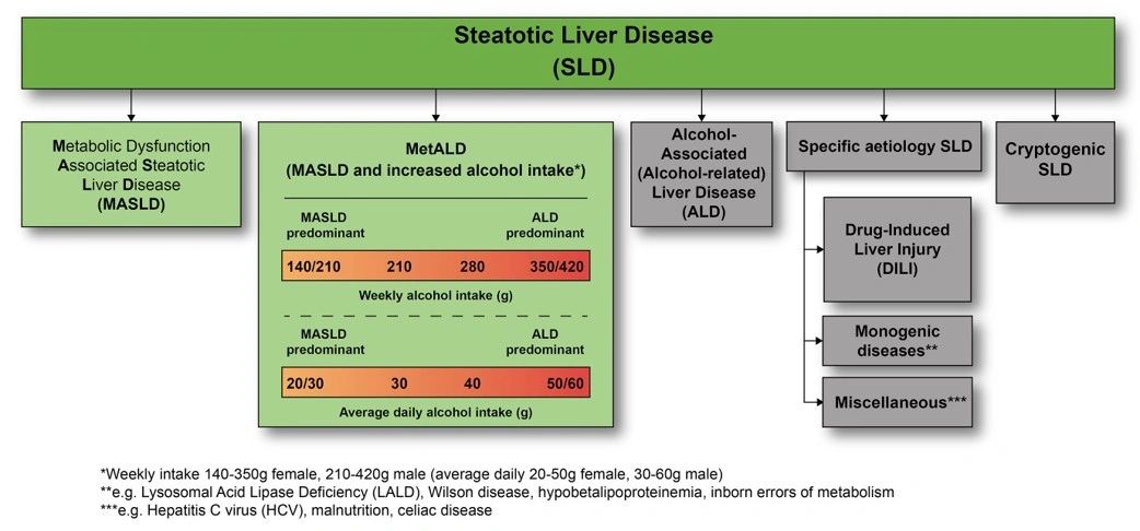 does-nomenclature-really-matter-in-liver-disease